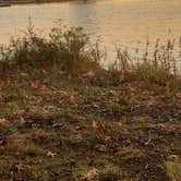 Review photo of Buzzards Roost — Lake Murray State Park by William A., November 4, 2019