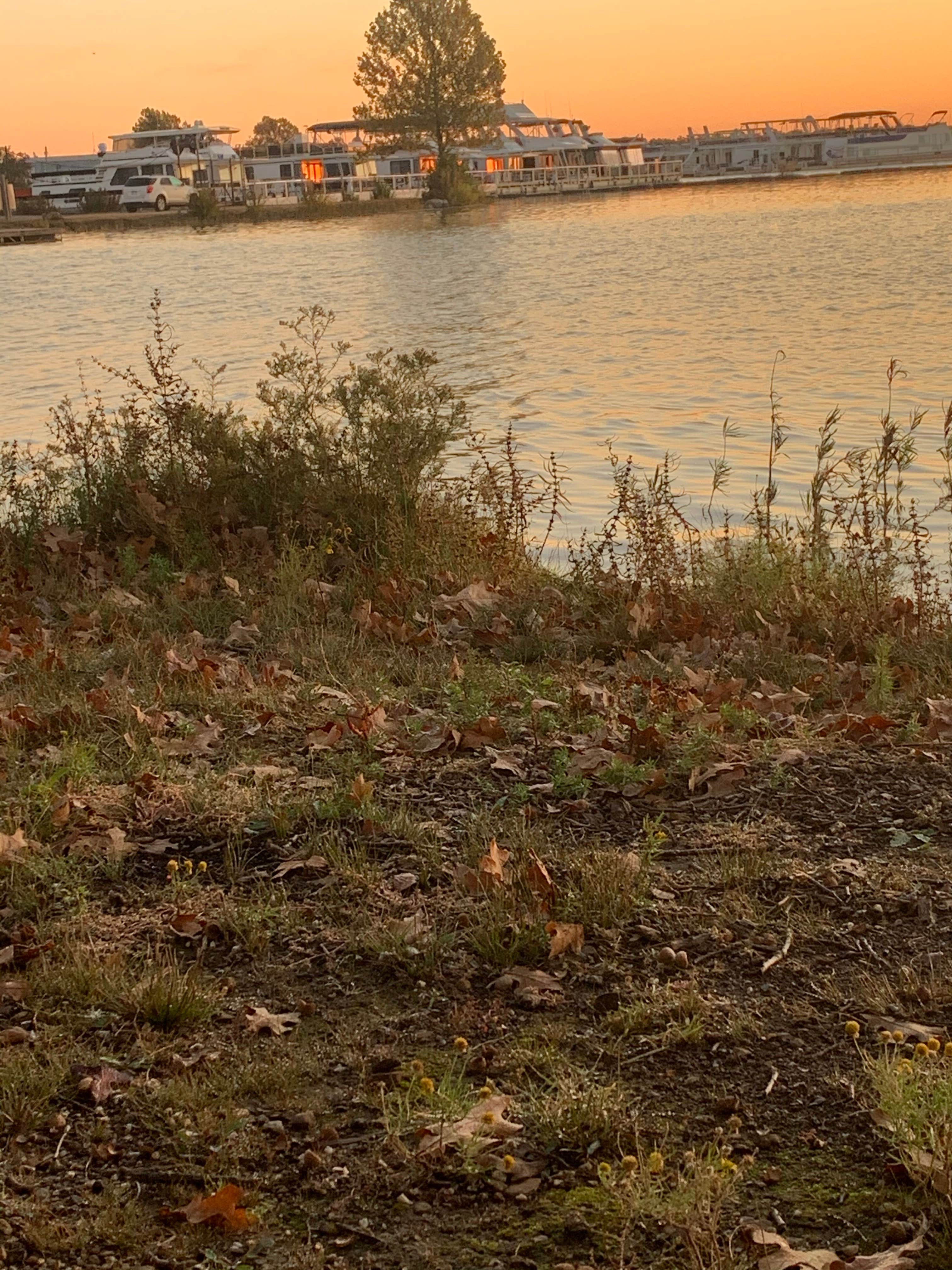 Marina View
