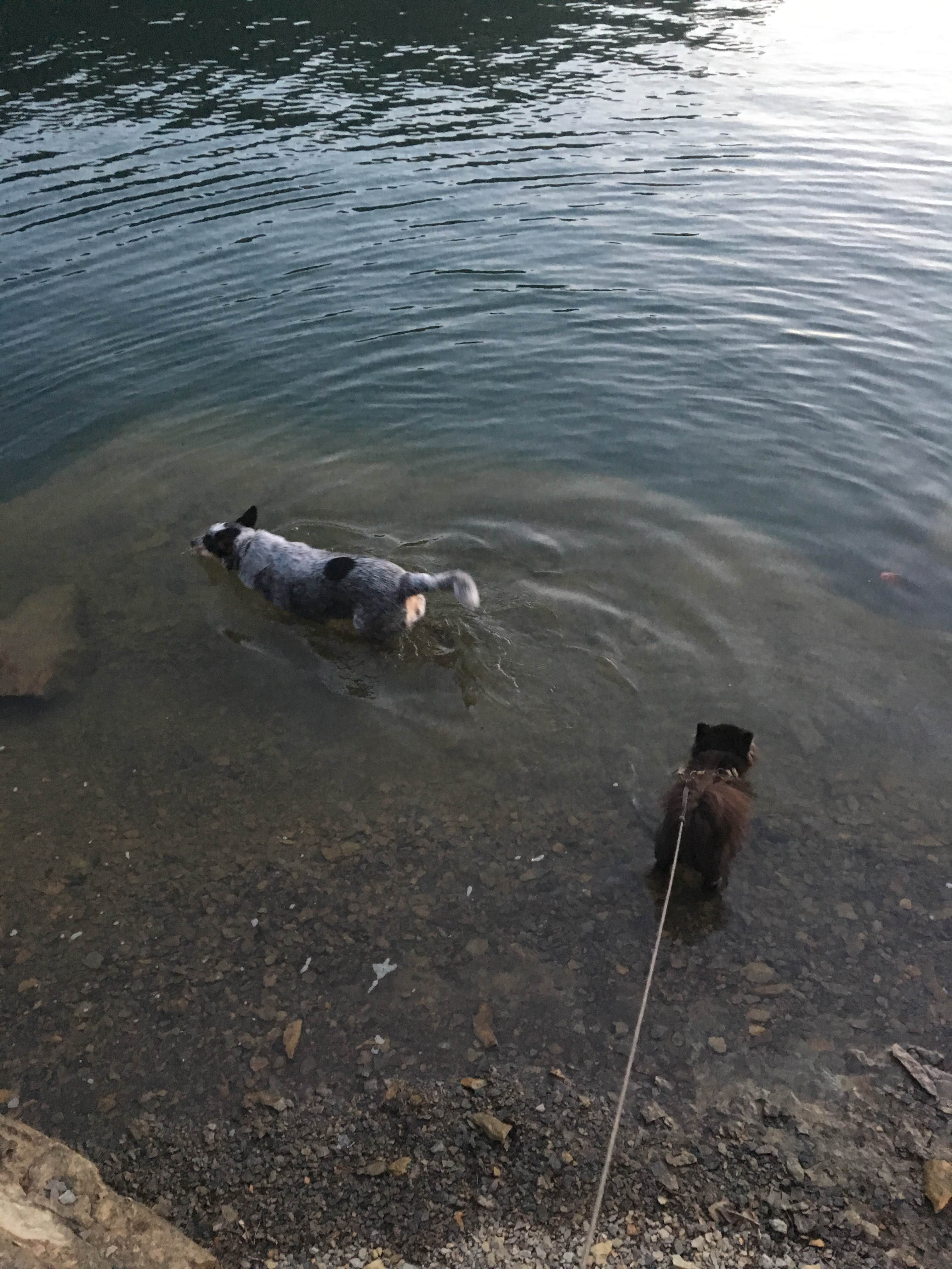 Camper-submitted photo at Lake Cumberland State Resort Park near Lake Cumberland