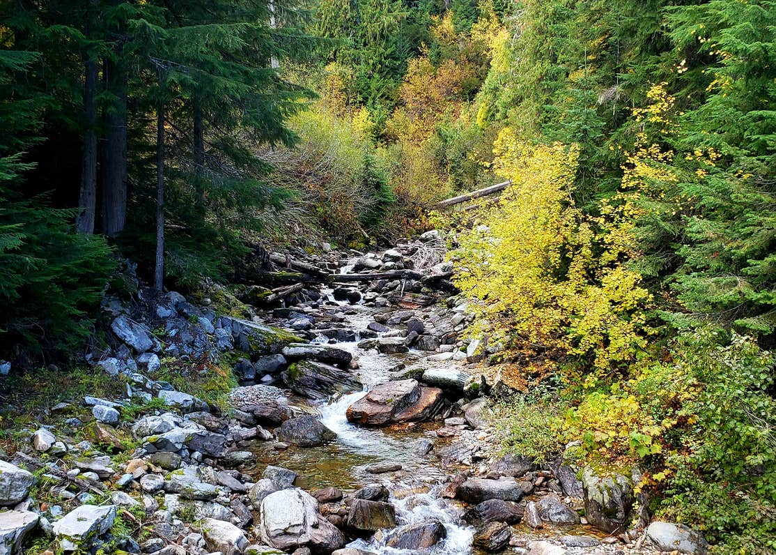 Spar Lake Campground Camping | The Dyrt