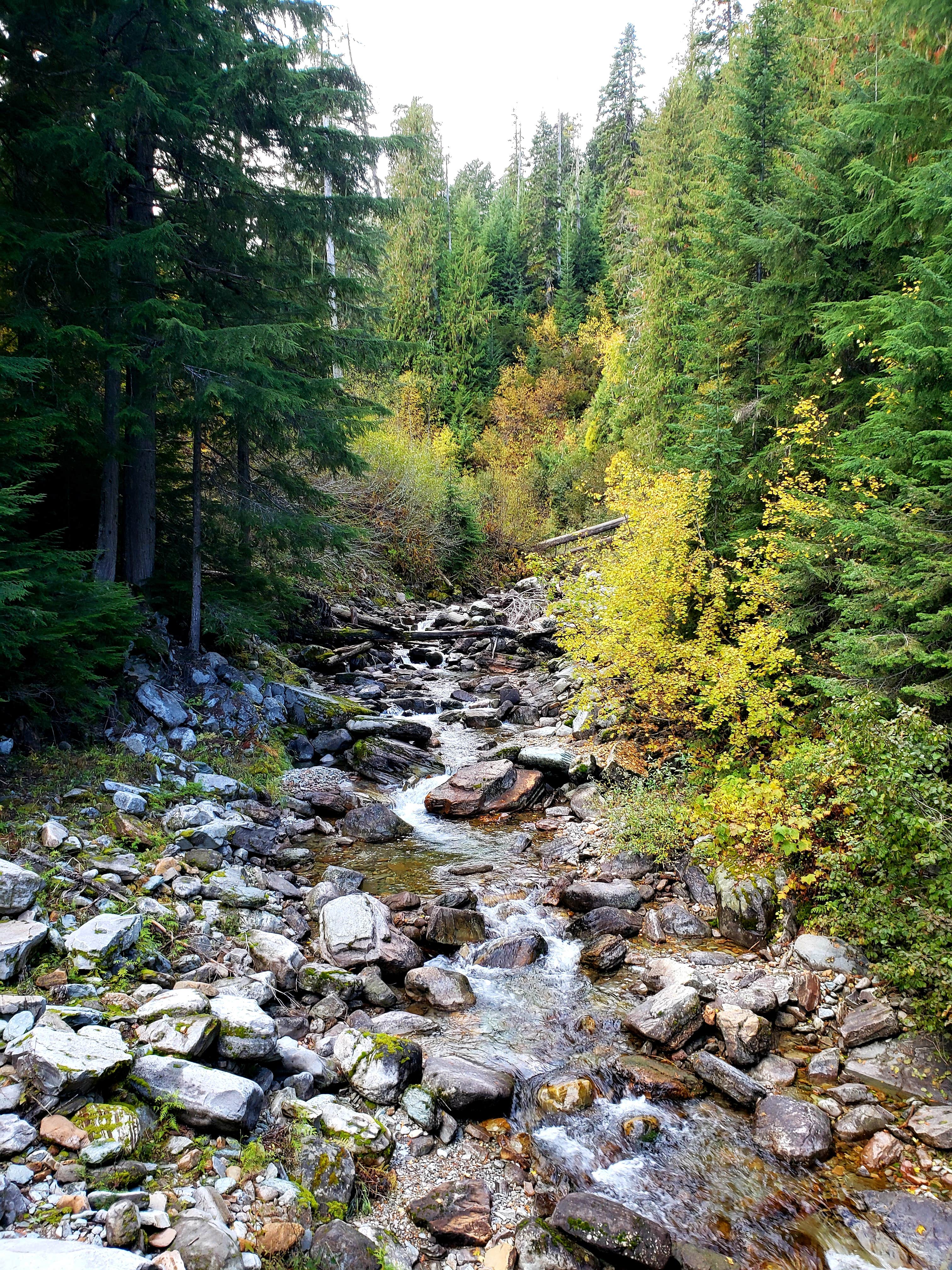 Camper submitted image from Spar Lake Campground - 1