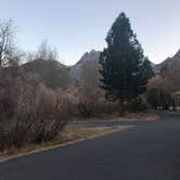 Review photo of Silver Lake Campground at June Lake by Hoku L., November 4, 2019