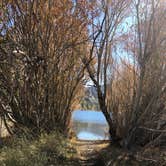 Review photo of Silver Lake Campground at June Lake by Hoku L., November 4, 2019