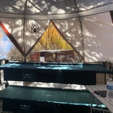 Review photo of Silver Lake Campground at June Lake by Hoku L., November 4, 2019