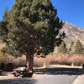 Review photo of Silver Lake Campground at June Lake by Hoku L., November 4, 2019