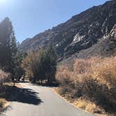 Review photo of Silver Lake Campground at June Lake by Hoku L., November 4, 2019