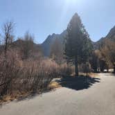 Review photo of Silver Lake Campground at June Lake by Hoku L., November 4, 2019