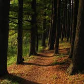 Review photo of Hartman Creek State Park Campground by Ame G., June 29, 2016