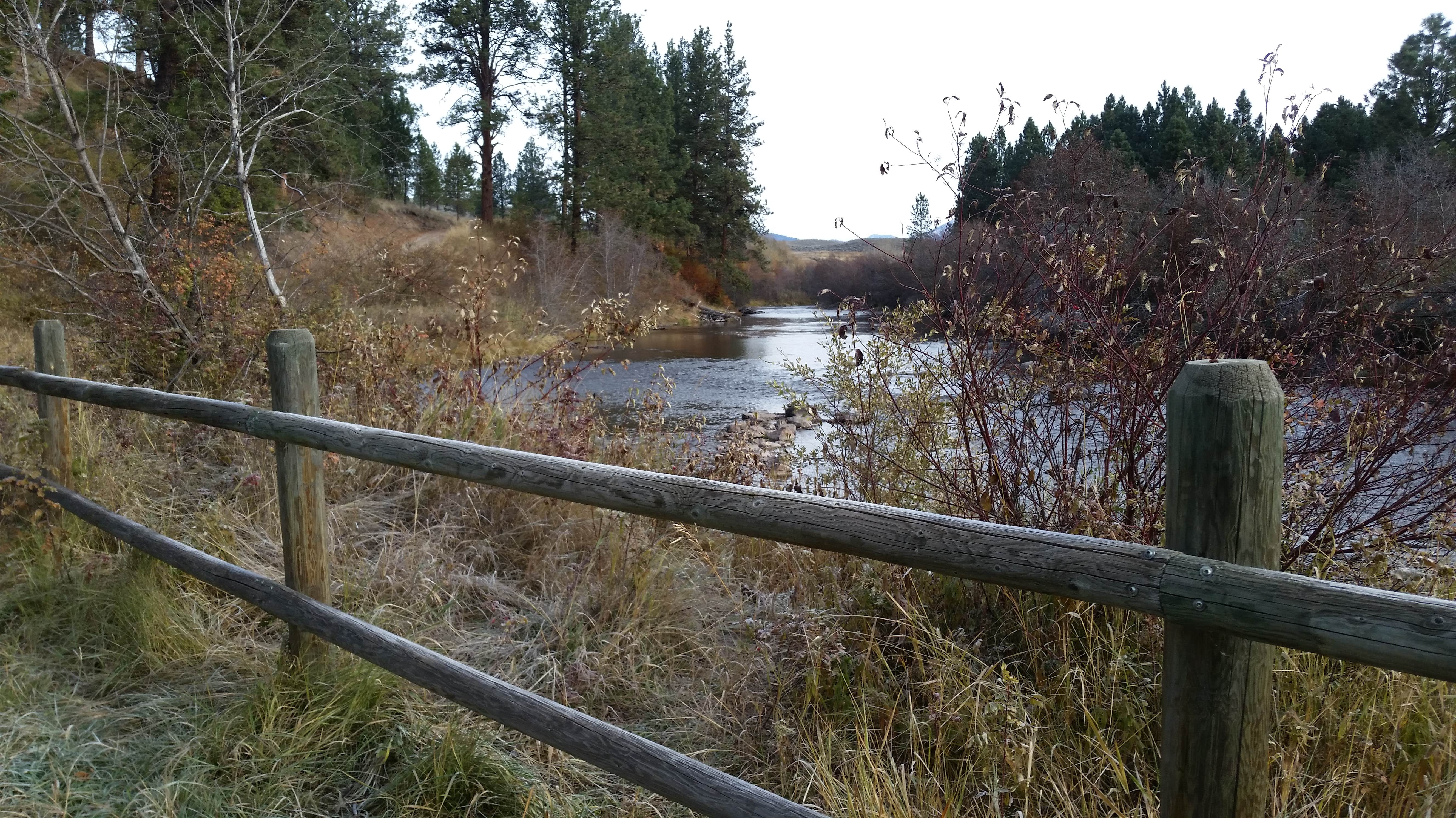 Camper-submitted photo at Monture Creek near Ovando, MT