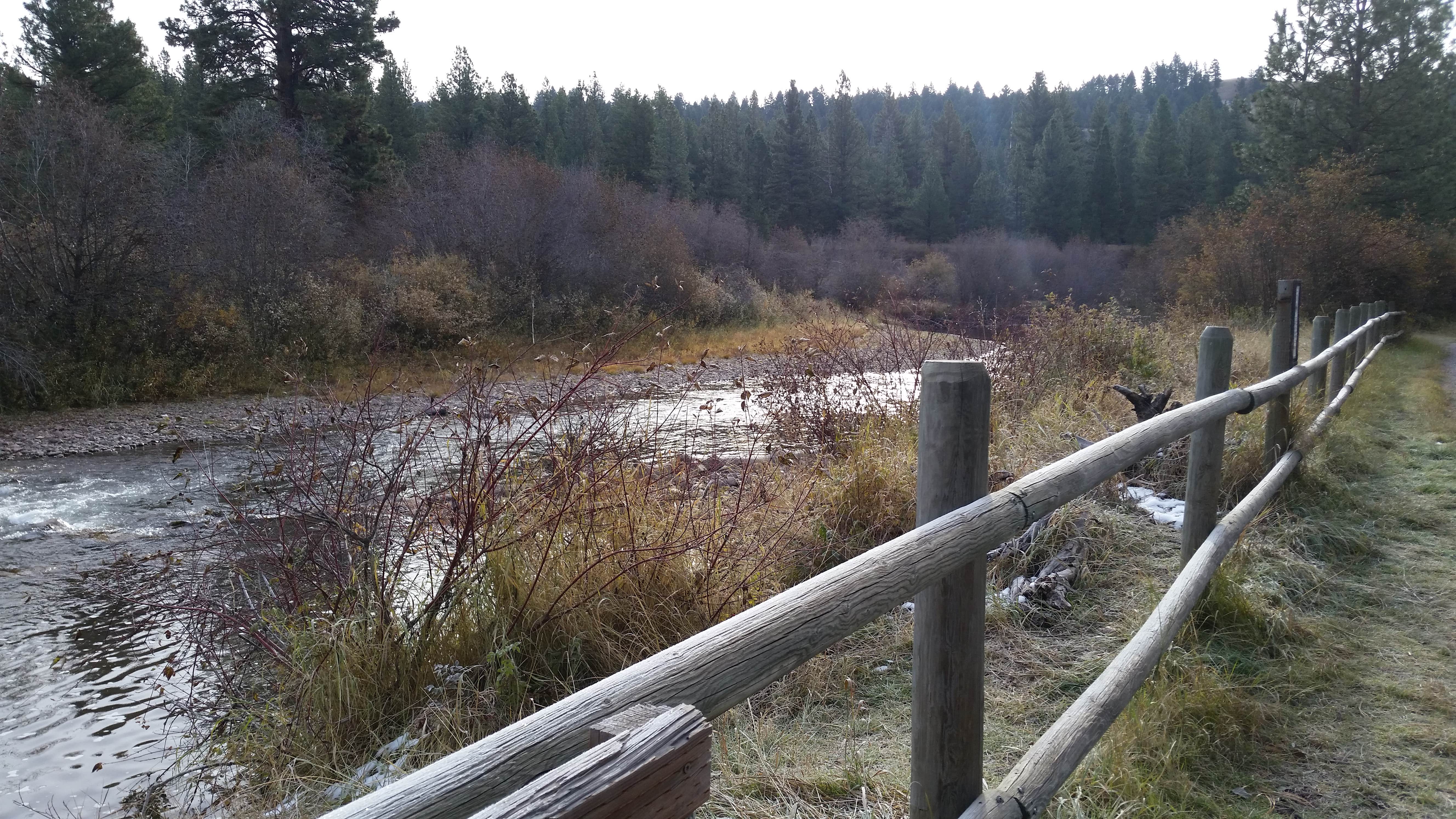 Camper-submitted photo at Monture Creek near Ovando, MT