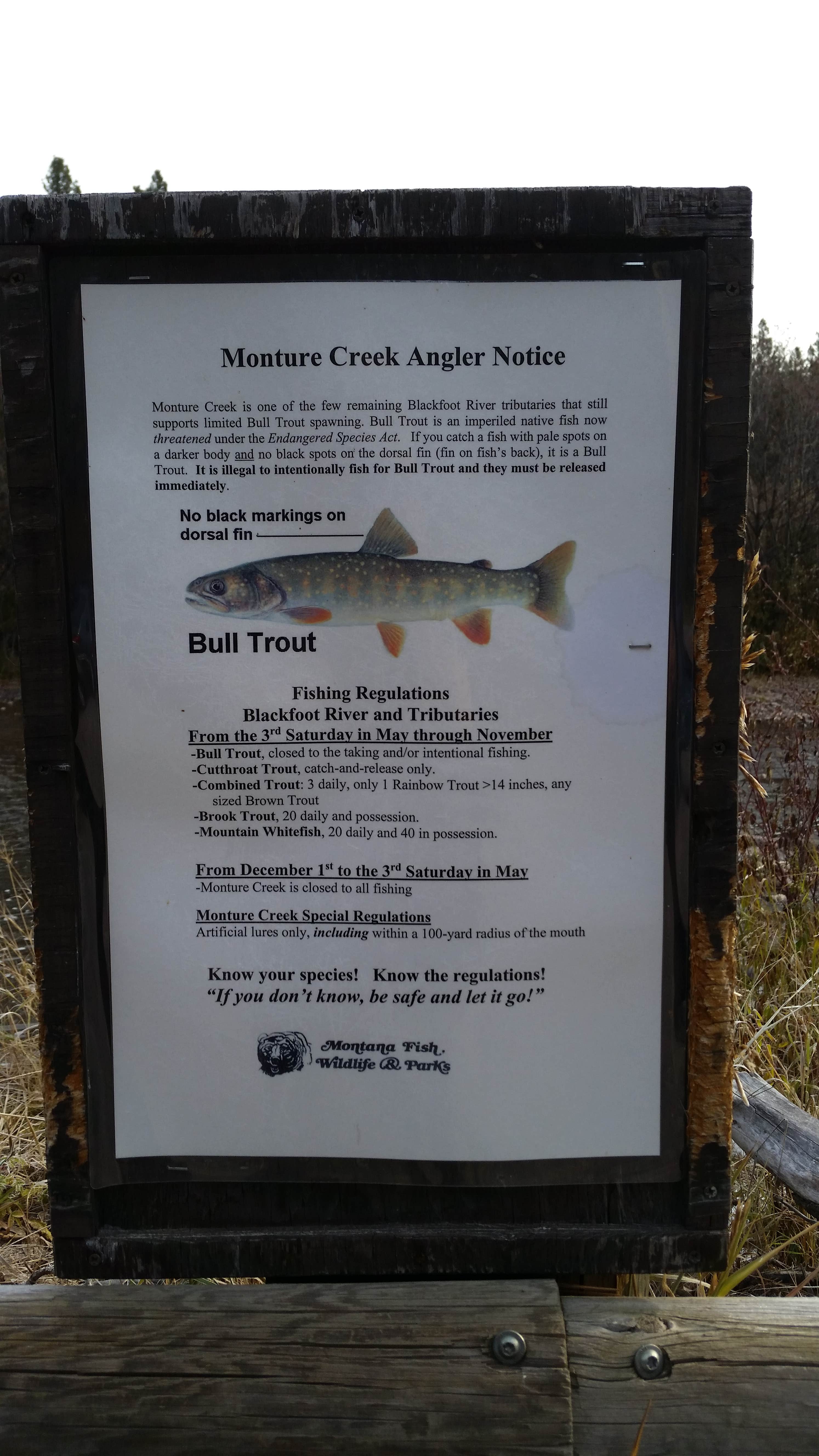 Camper-submitted photo at Monture Creek near Ovando, MT