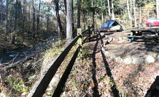 Stephanie M.'s photo at North Creek Campground near Big Island, VA