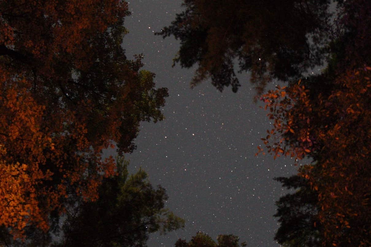 Looking at the stars