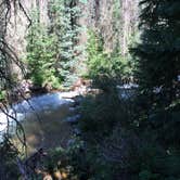 Review photo of Emerald Lake by Celina M., November 4, 2019