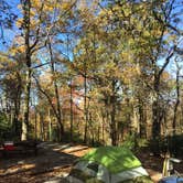 Review photo of Black Rock Mountain State Park Campground by Nicole K., November 4, 2019