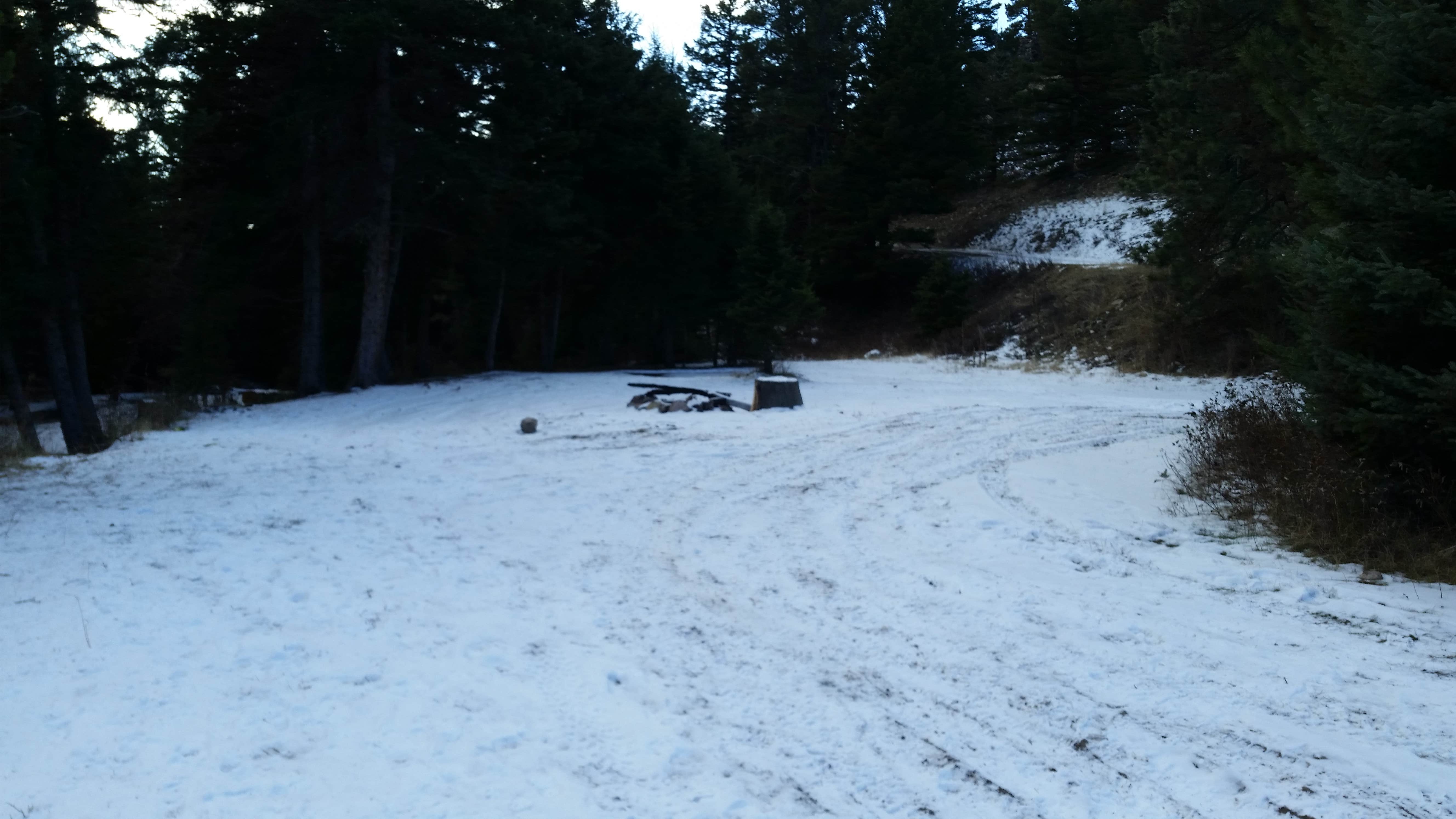 Camper-submitted photo at Camping area 6393A near Hobson, MT