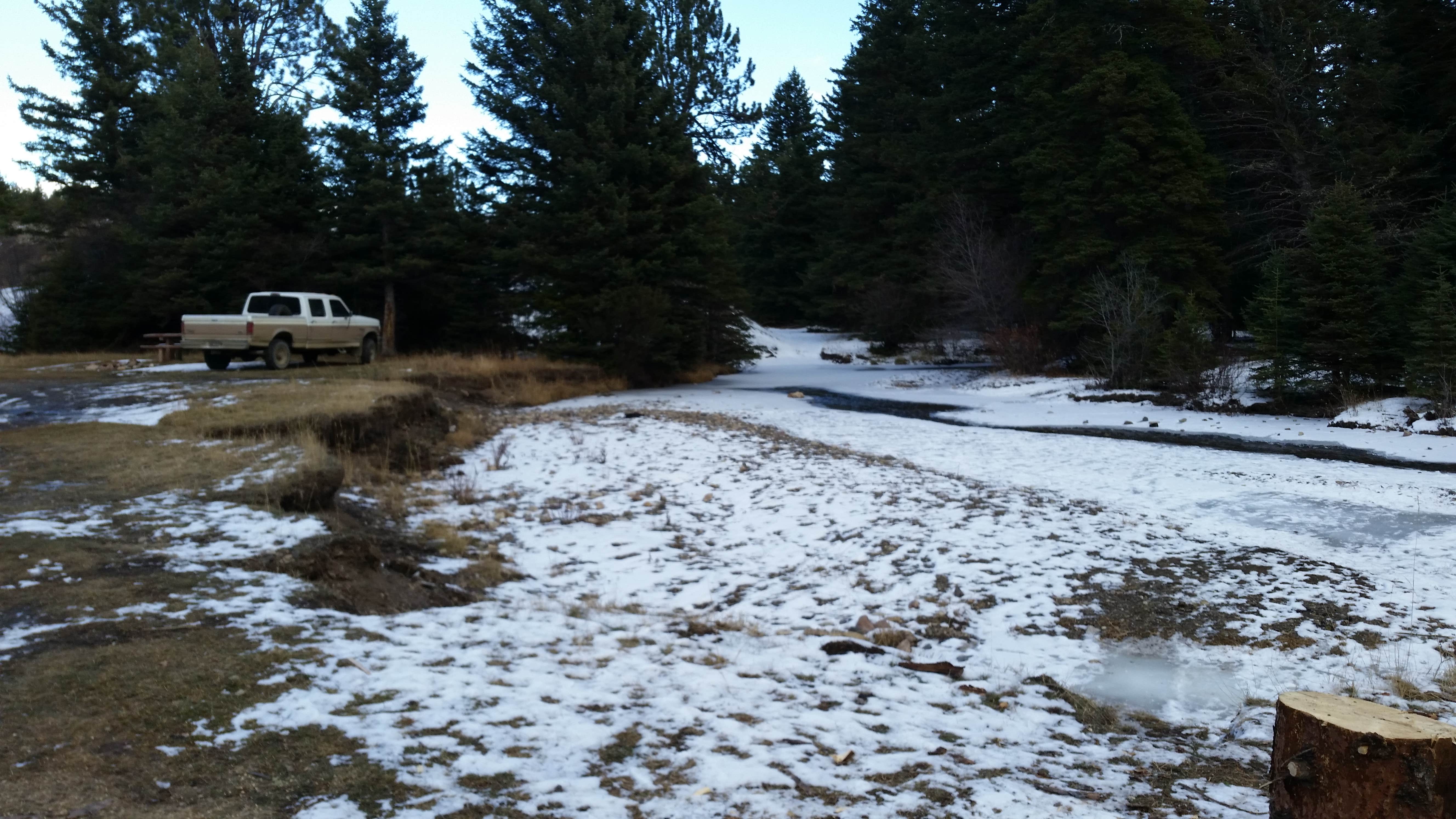 Camper-submitted photo at Camping area 6393A near Hobson, MT