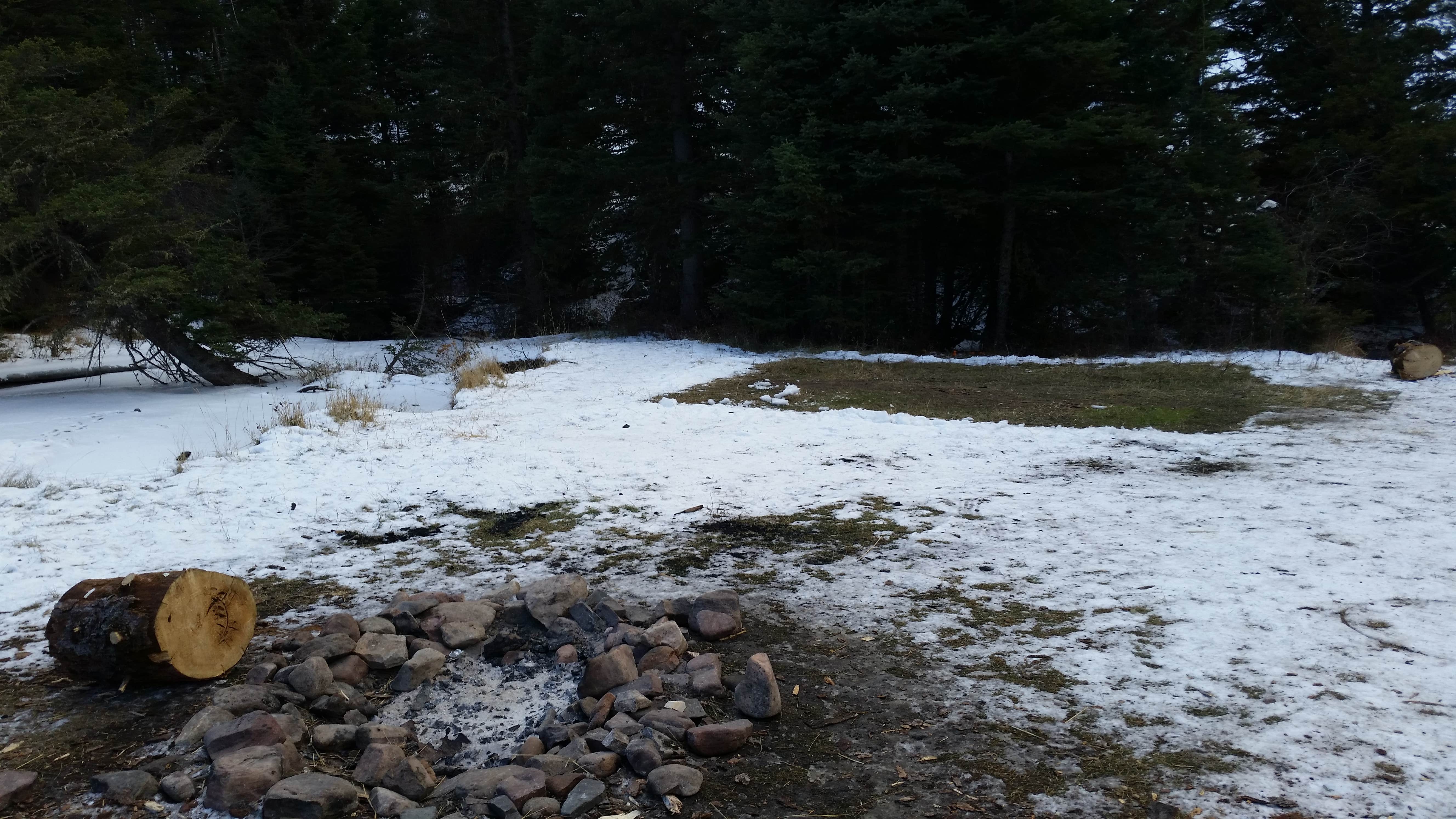 Camping near Dispersed site 9210: Camping area 6393A, Martinsdale, Montana