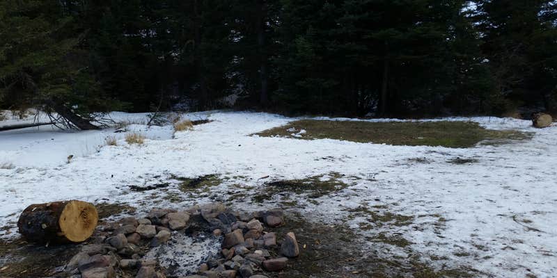 Camper submitted image from Camping area 6393A