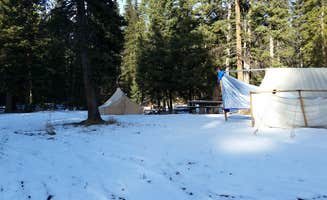 Dexter I.'s photo at Whitetail Camp near Geyser, MT