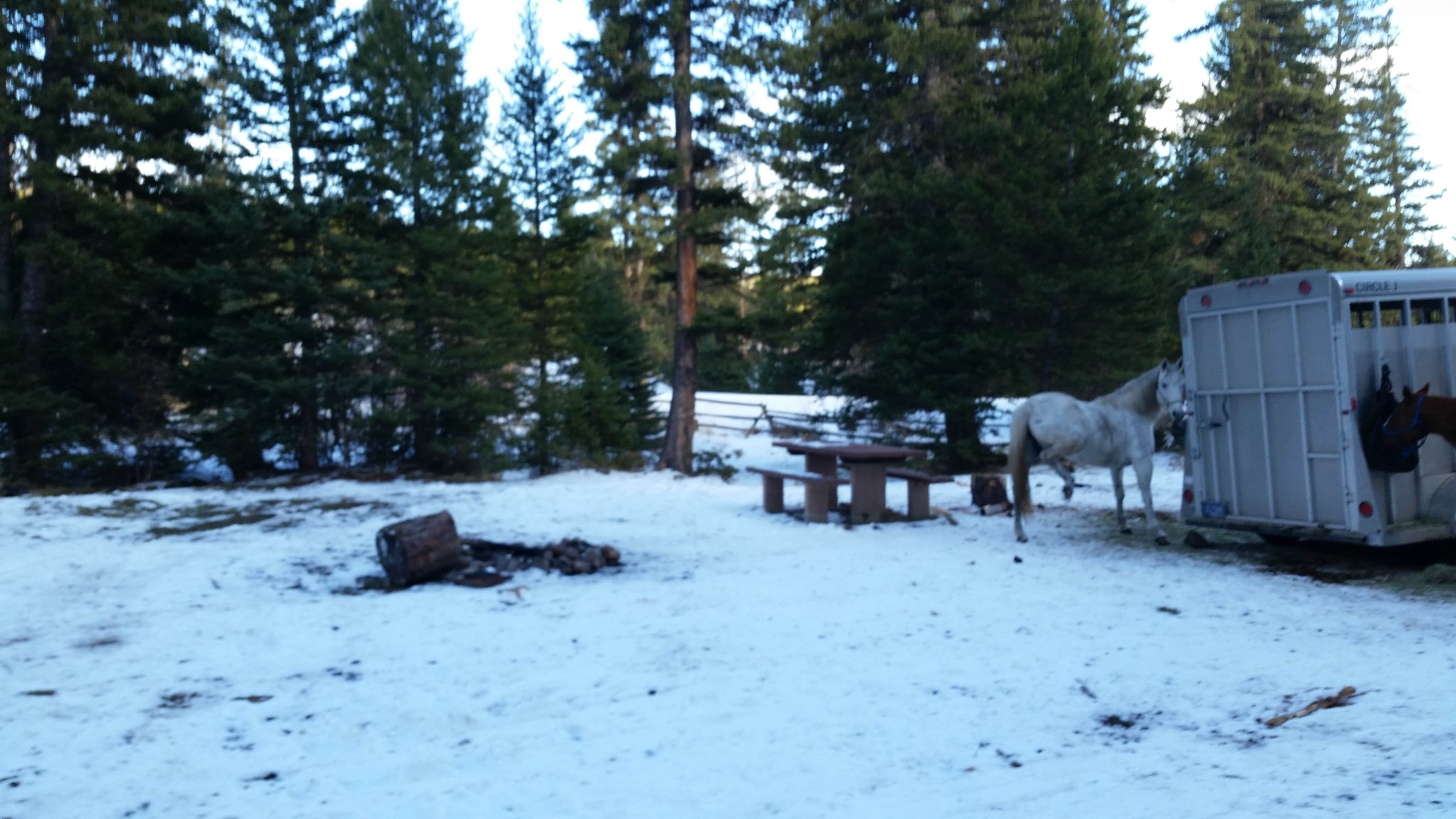 Camper-submitted photo at Whitetail Camp near Hobson, MT