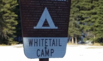 Camping near Many Pines Campground: Whitetail Camp, Martinsdale, Montana