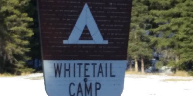 Camper submitted image from Whitetail Camp