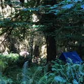 Review photo of Hoh Campground — Olympic National Park by Elizabeth K., August 20, 2017