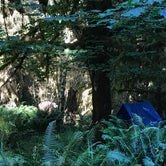 Review photo of Hoh Rain Forest - Olympic National Park by Elizabeth K., August 20, 2017