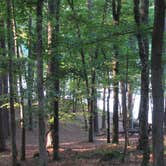 Review photo of Red Top Mountain State Park Campground by Suzy E., November 5, 2019