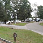 Review photo of Frank Jackson State Park Campground by Nancy W., August 20, 2017