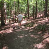 Review photo of Red Top Mountain State Park Campground by Suzy E., November 5, 2019