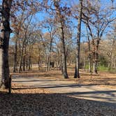 Review photo of Knob Noster State Park Campground by Allen H., November 5, 2019