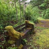 Review photo of Goodell Creek Campground — Ross Lake National Recreation Area by Montie R., November 6, 2019