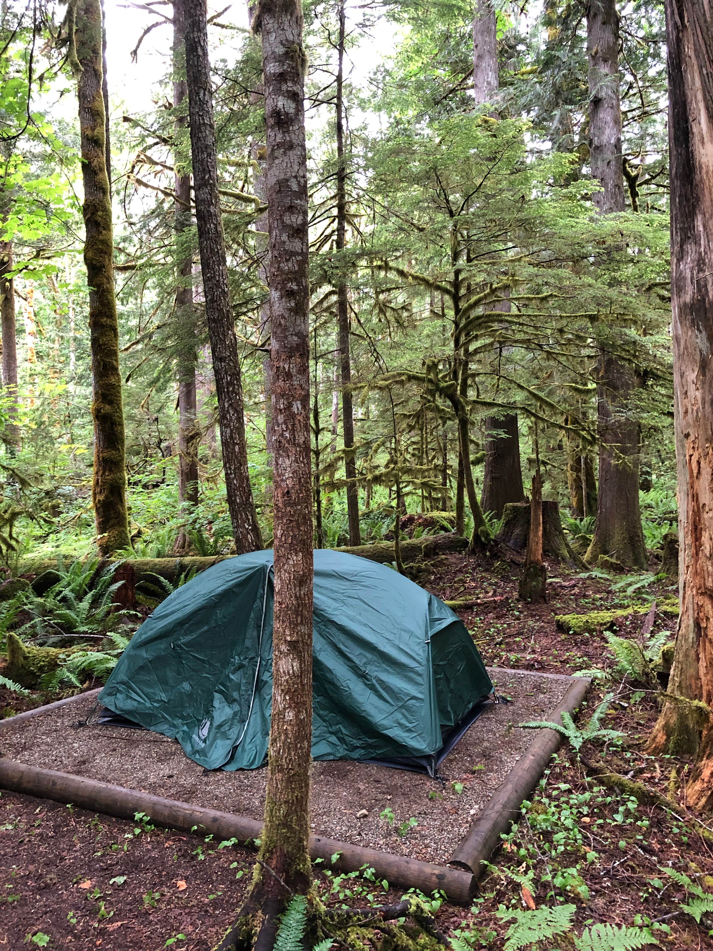 Montie R.'s photo at Goodell Creek Campground — Ross Lake National Recreation Area near Marblemount, WA