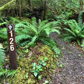 Review photo of Goodell Creek Campground — Ross Lake National Recreation Area by Montie R., November 6, 2019