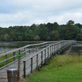 Review photo of Frank Jackson State Park Campground by Nancy W., August 20, 2017