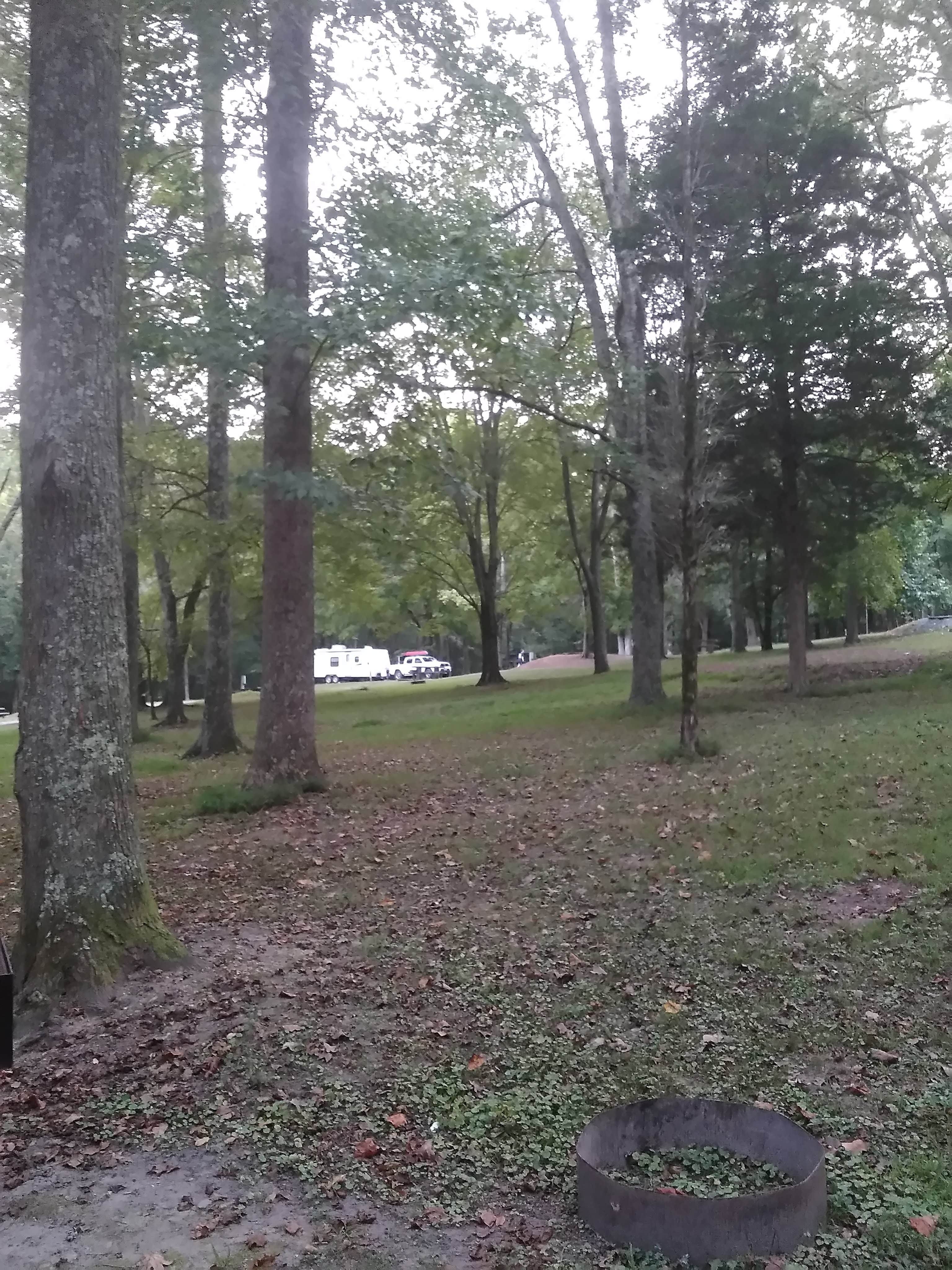 Camper submitted image from Happy Hollow Campground — Nathan Bedford Forrest State Park - 2