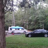 Review photo of Happy Hollow Campground — Nathan Bedford Forrest State Park by Teri C., November 6, 2019