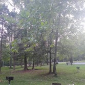 Review photo of Happy Hollow Campground — Nathan Bedford Forrest State Park by Teri C., November 6, 2019