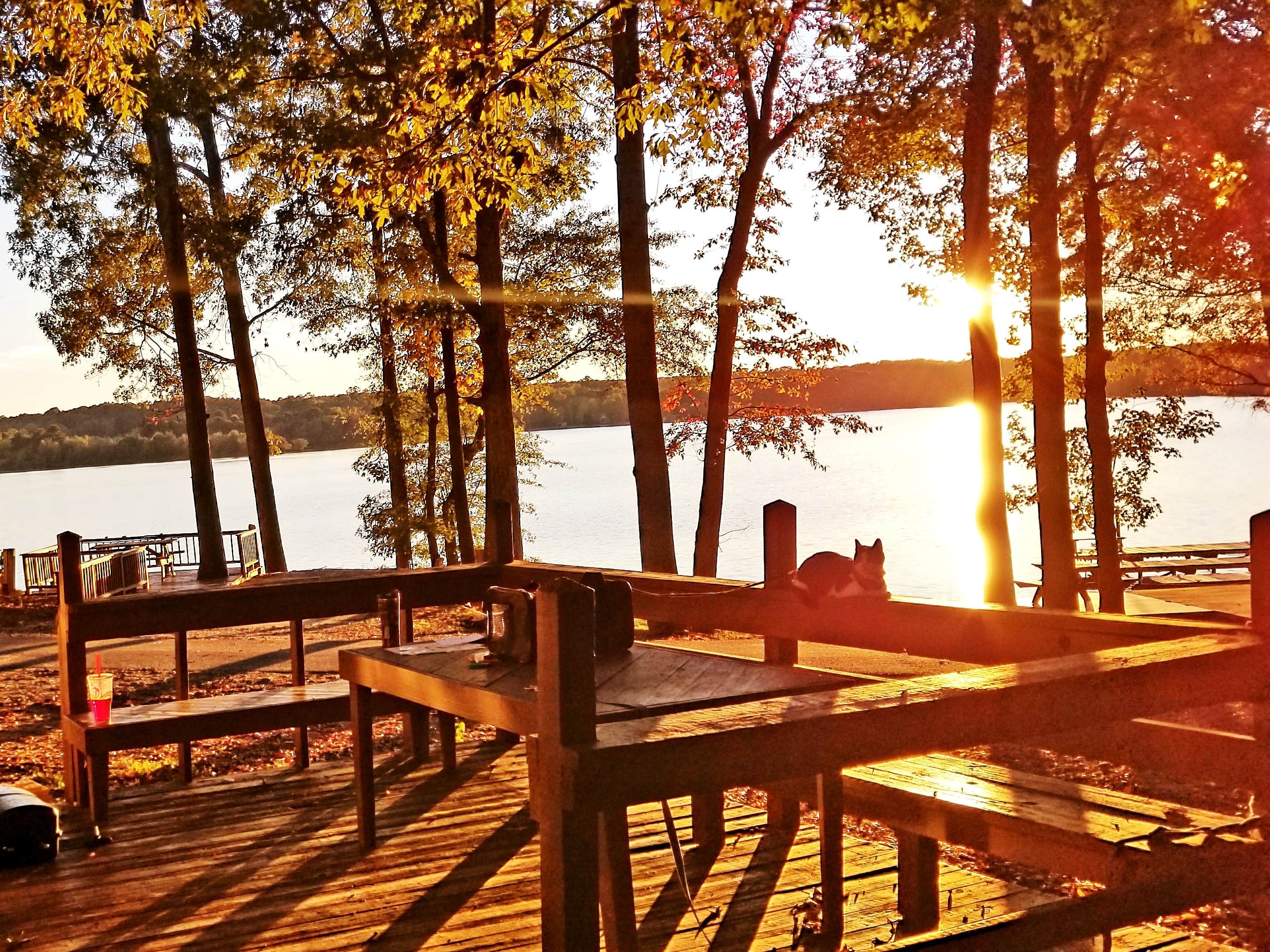Camper submitted image from North Shore Landing - 2