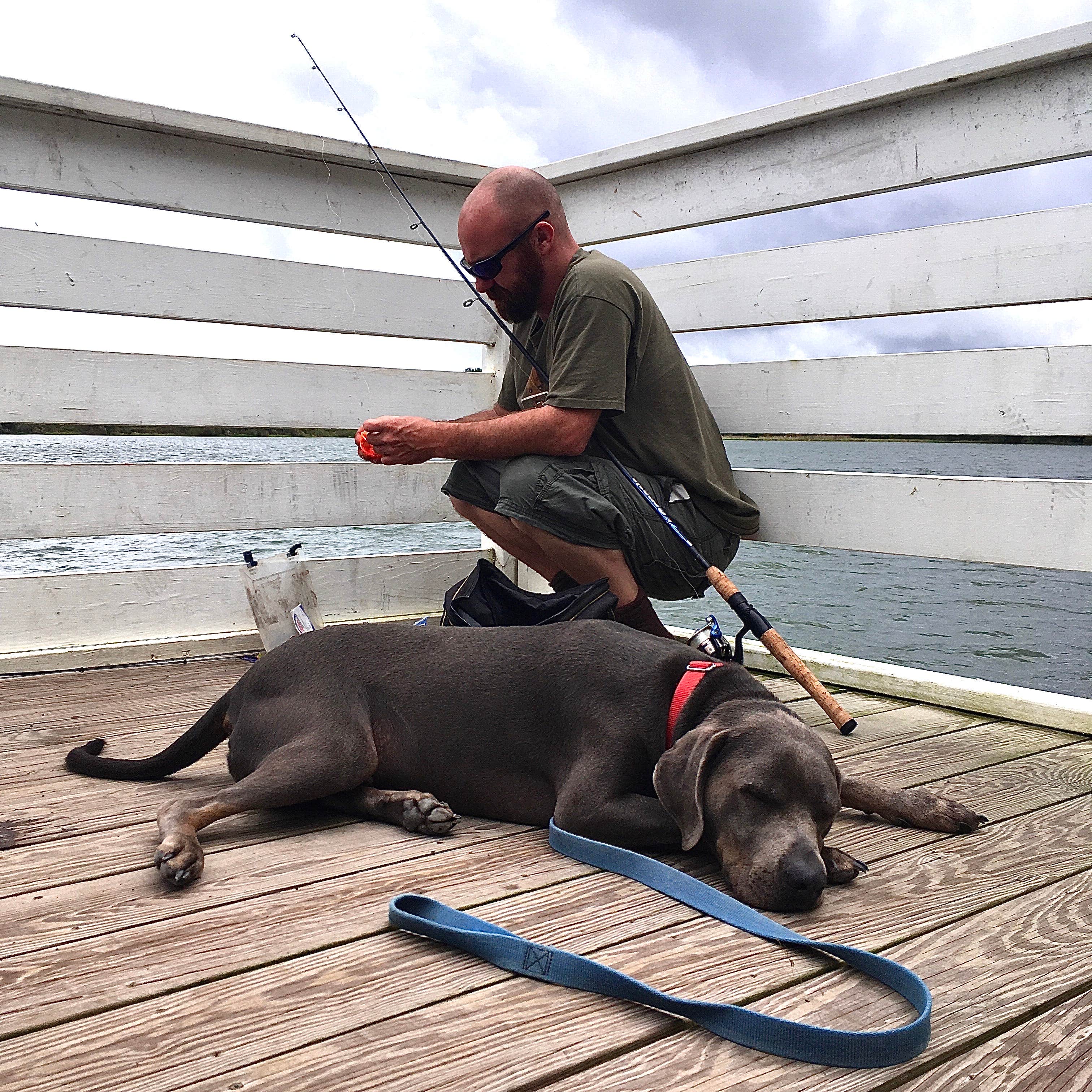Nicole  B.'s photo of camping with pets at CreekFire RV Resort near Tybee Island, GA