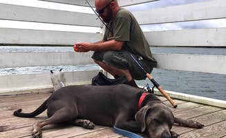 Nicole B.'s photo of camping with pets at CreekFire RV Resort near Bluffton, SC