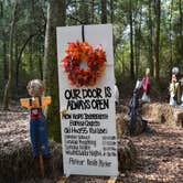 Review photo of Frank Jackson State Park Campground by Nancy W., August 20, 2017