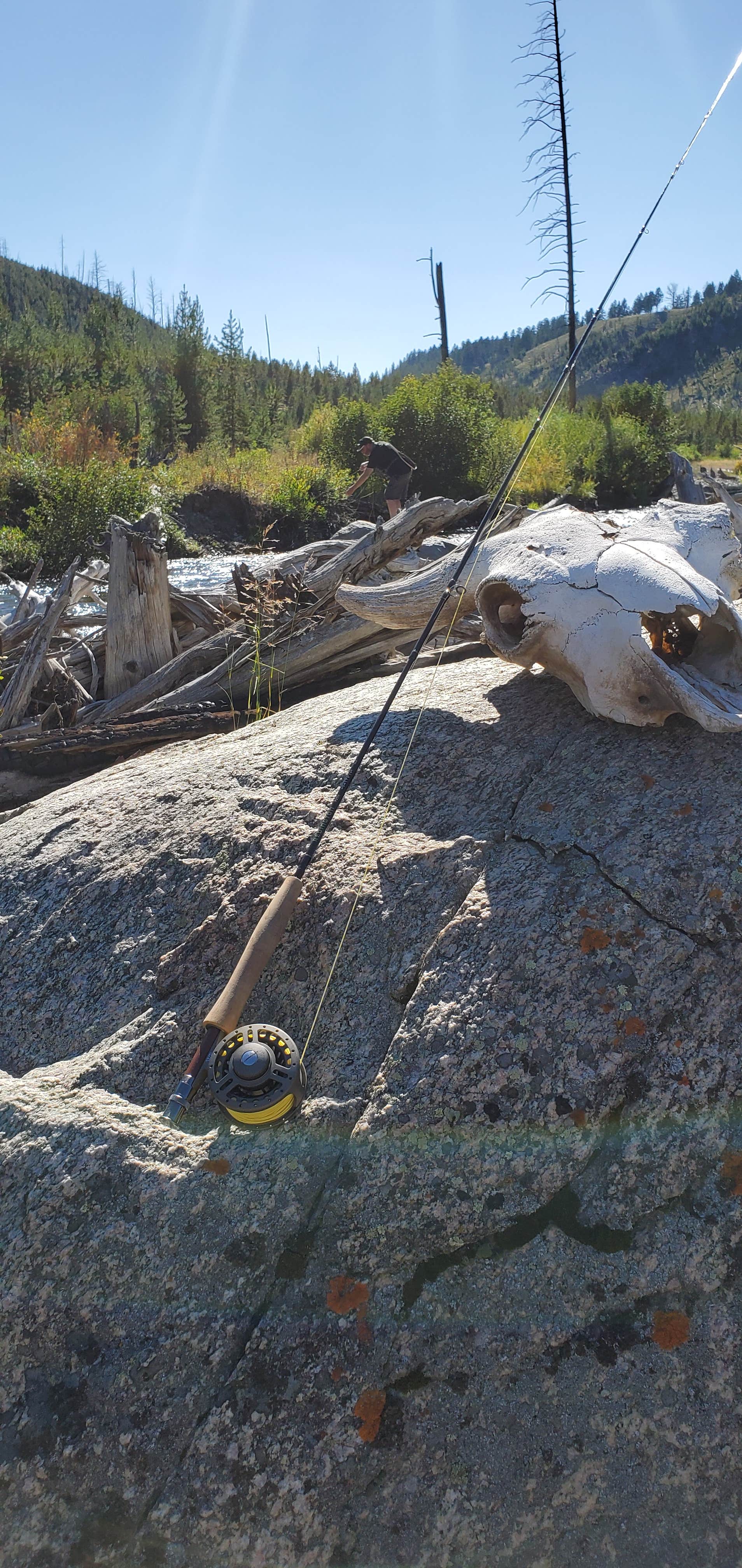 Camping near Deer Creek Cabin (MT): Castle Rock, Nye, Montana