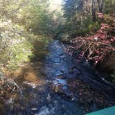 Review photo of Foster Falls Campground — South Cumberland State Park by CASEY W., November 7, 2019