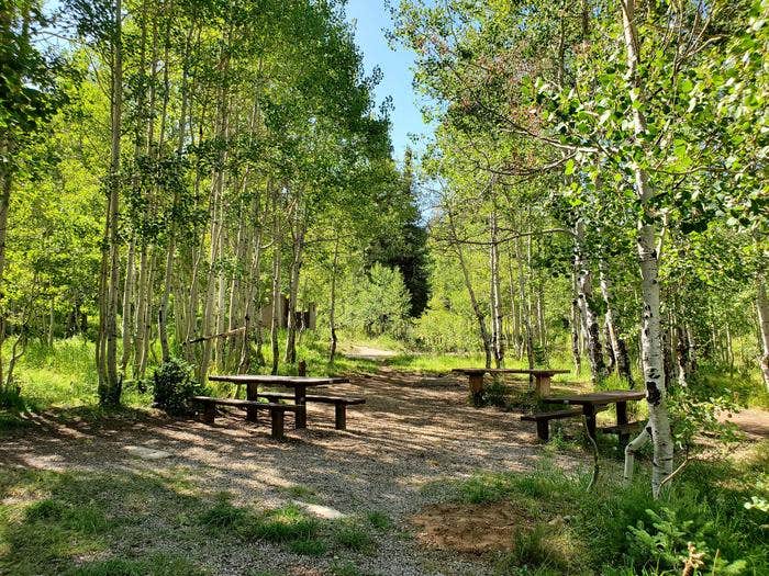 Camper submitted image from Gooseberry Creek Campground - 4