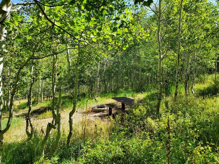 Camper submitted image from Gooseberry Creek Campground - 4