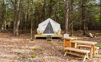 The Dyrt's photo at Nestled in the Mountain near Glasco, NY