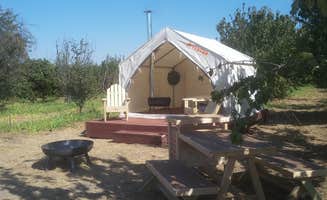 The Dyrt's photo at Lagier Ranches Camp near Lodi, CA